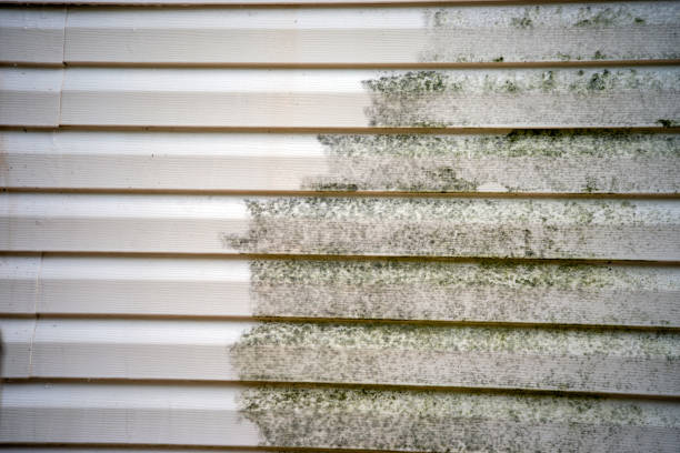 Best Wood Siding Installation  in Stedman, NC