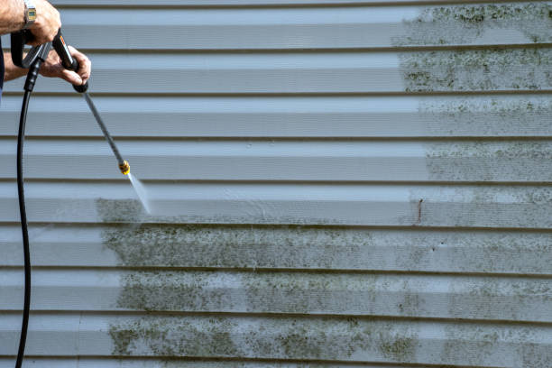 Best Composite Siding  in Stedman, NC