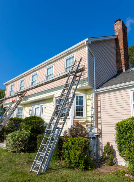 Best Custom Siding Design  in Stedman, NC